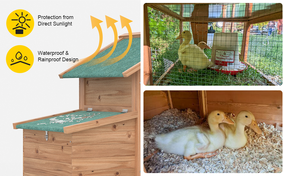 Durable Outdoor Chicken Coop for 5 Chickens – Weatherproof Wooden Hen House with Run, Nesting Box & Removable Tray