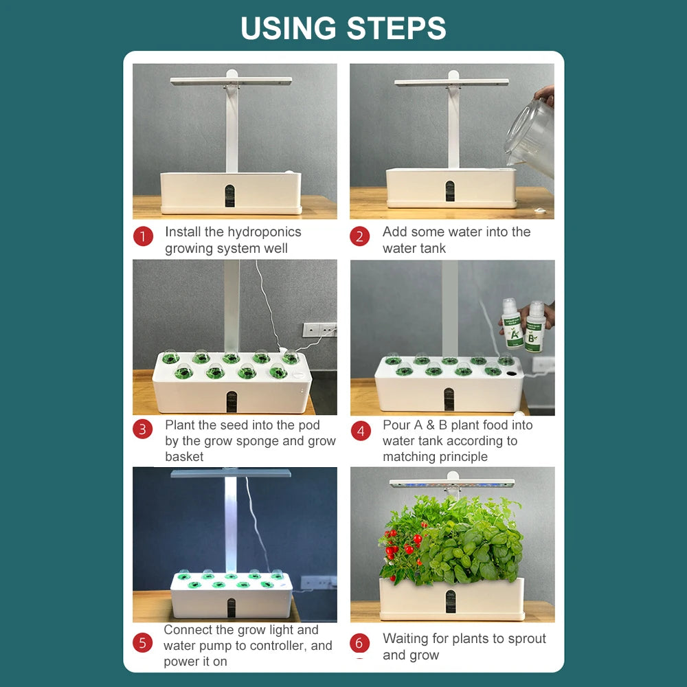 Herb Haven 9 – Smart Hydroponic Indoor Herb Garden Kit for Year-Round Growing