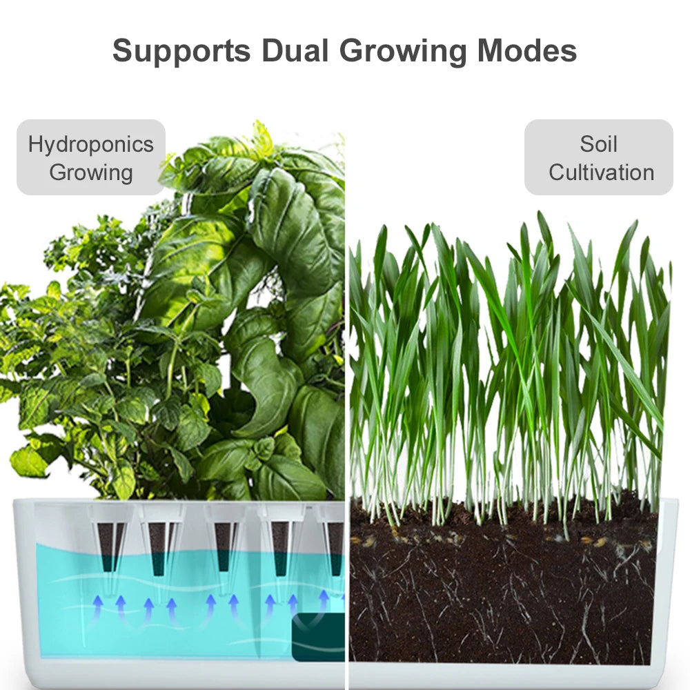 Herb Haven 9 – Smart Hydroponic Indoor Herb Garden Kit for Year-Round Growing